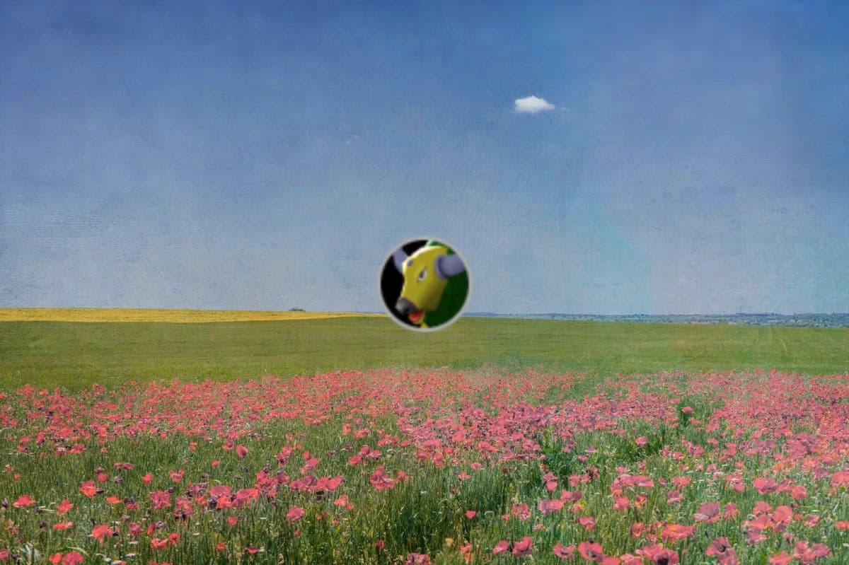 /digital/allure/field.webp